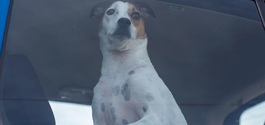 Car Lockout Solutions in Fort Irwin, California